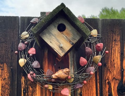 Yes, we love birds!