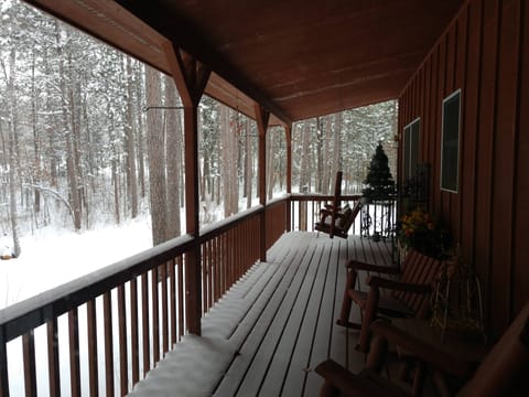 Winter on the back porch
