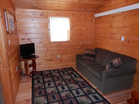 Living room area with sofa sleeper &amp; satellite TV