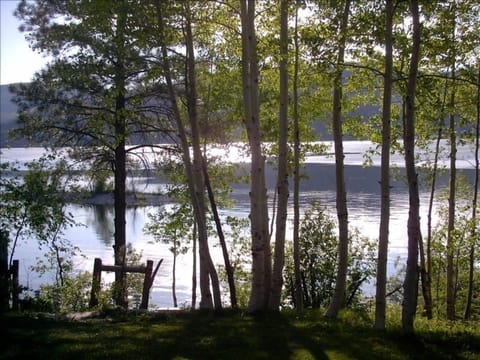 The stairs in the yard leading to the Lake's Edge.