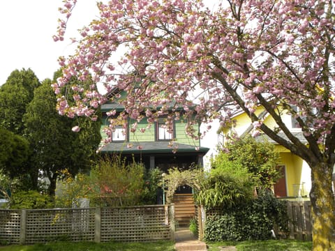The front of the house during spring