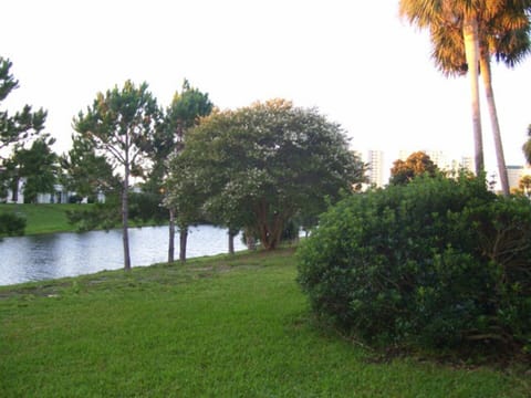 Lake at Gulf Terrace view from balcony