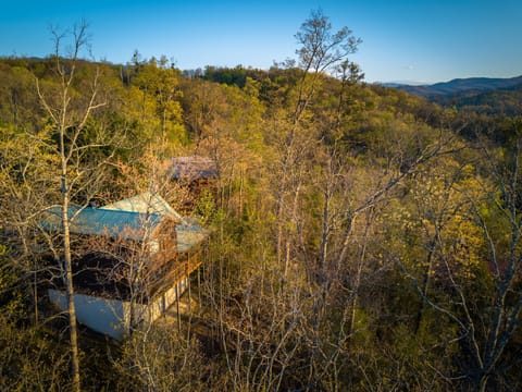 Pigeon Forge Cabin "Antler Crossing" - Arial view