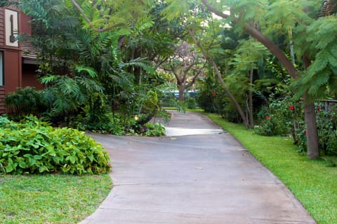 Tropical pathway back to building one, to your ground floor easy access unit.