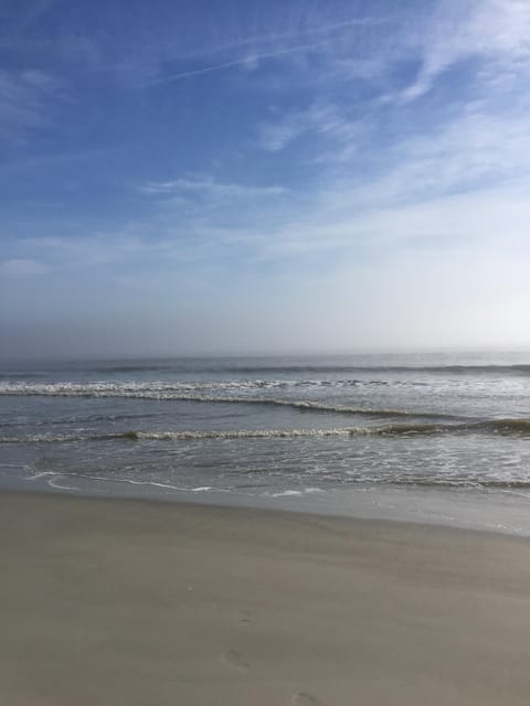 Morning stroll on the beach