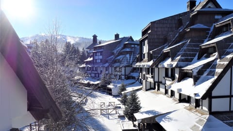 Comfort Apartment, 1 Bedroom, Mountain View | View from room