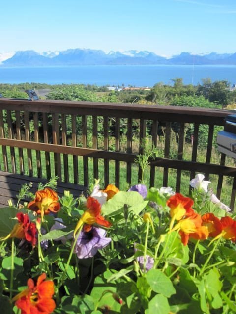 Summer flowers.