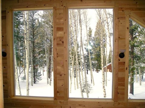 Winter view taken from loft.