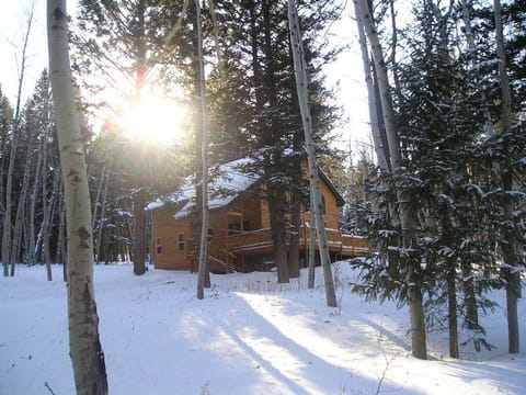 Great snow in Island Park - you can snowmobile from the cabin to the trails!