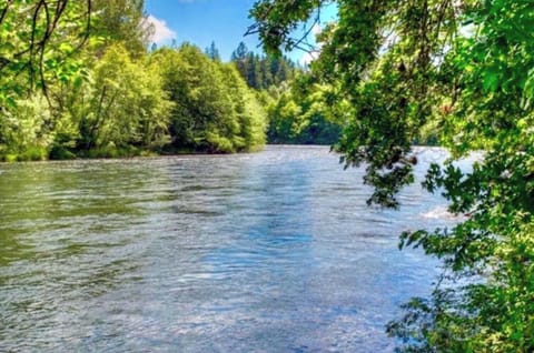 Picturesque isn't enough to describe your down river view.Upper Rogue River 