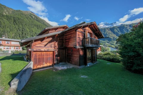 Chalet & garden