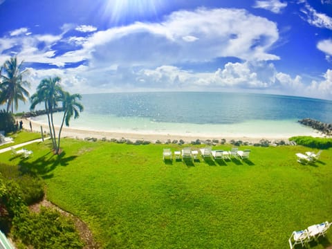 This is our white sandy private tropical beach.