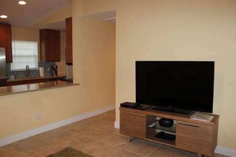 Large flat screen TV