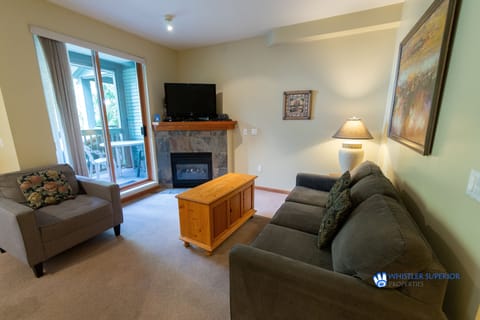 Living area with fireplace
