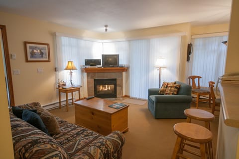 Cozy living area with fireplace and TV