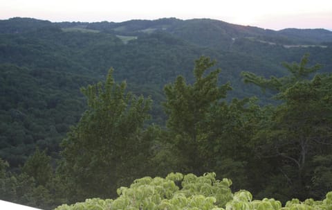 Long range mountain views year round! 