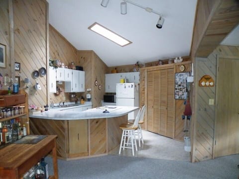 Standing bar and kitchen area 