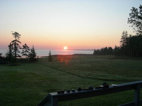 Carlow Island