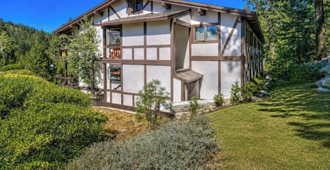 Charming mountain cabin surrounded by trees and nature, offering a peaceful and scenic retreat.