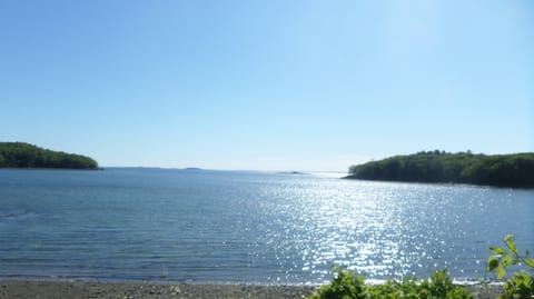 Sunny Morning On The Cove