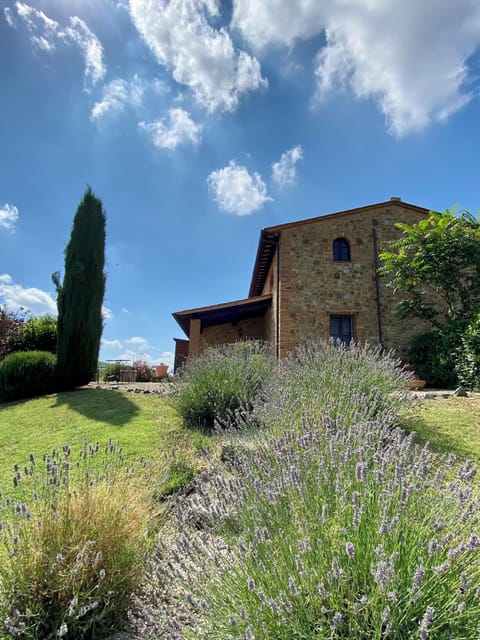 The path to the house