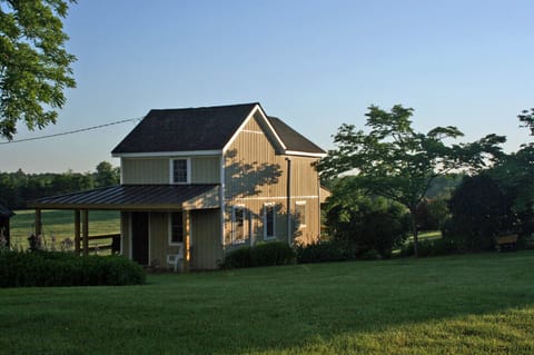 The 'Back Door' at Aunt Judy's Place 