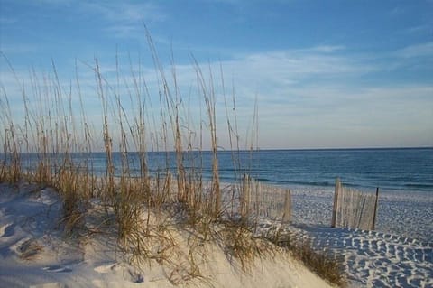 The beautiful Gulf of Mexico awaits you!
