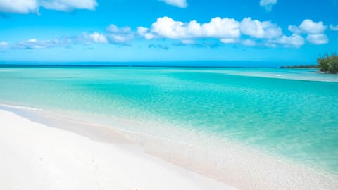 Parrot Cay Drone140