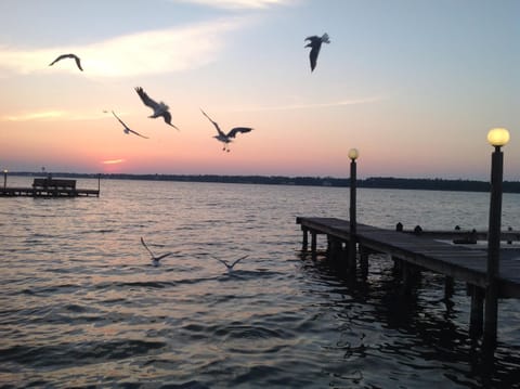 seagulls at sunset beside our pier at the Little Lagoon...