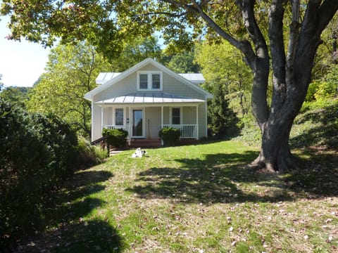 The front yard.