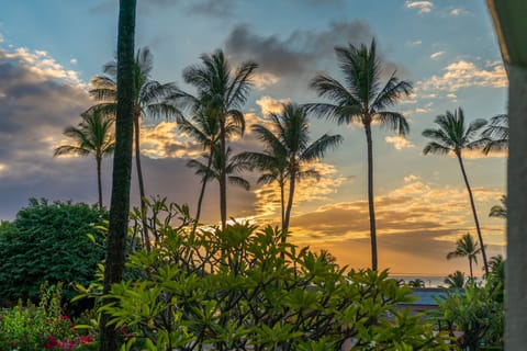 View from lanai.