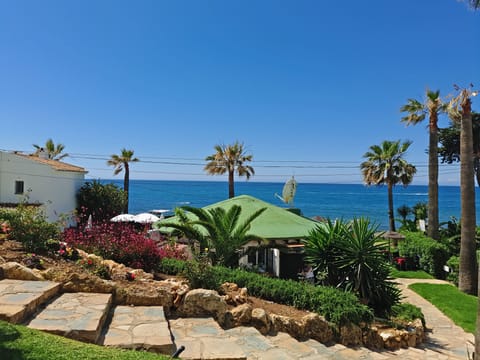 Beautiful view from your terrace