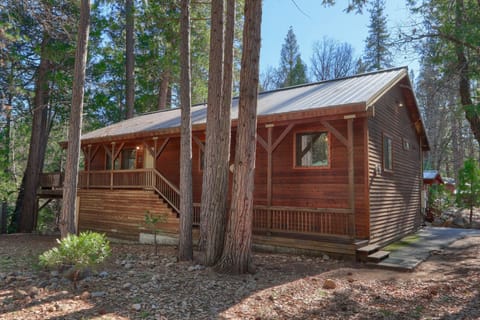 Front of the cabin