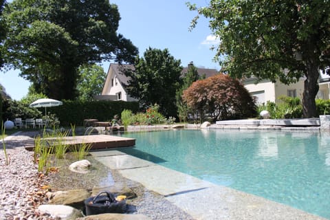 Seasonal outdoor pool, open 8:00 AM to 8:00 PM, sun loungers