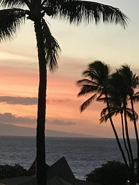 Beautiful Sunsets