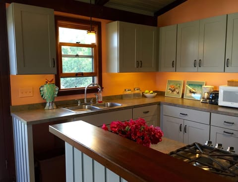 Cook in our newly renovated kitchen with water views.