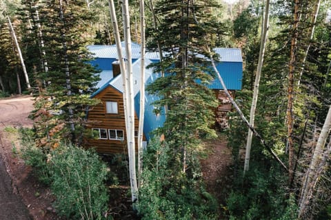 Gorgeous cabin offering privacy and surrounded by trees