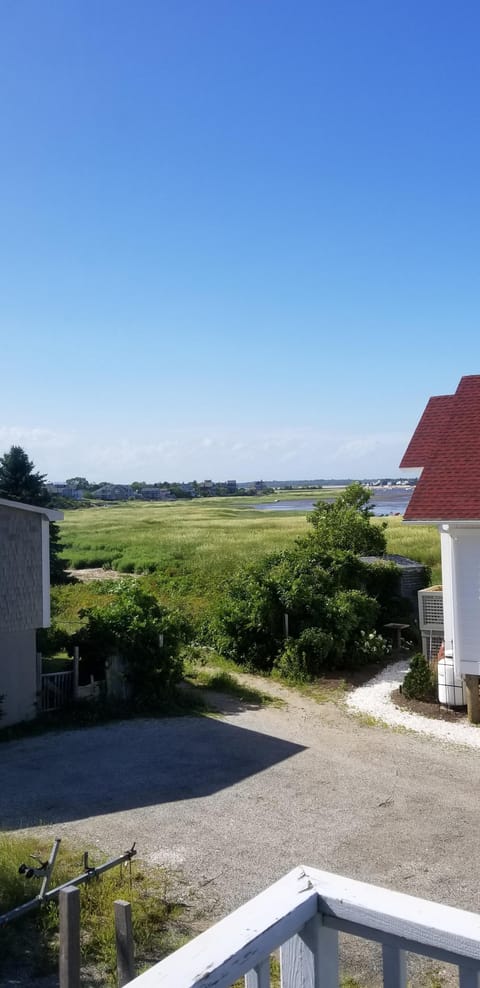 View from second floor deck