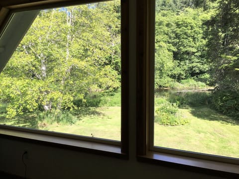 The river view from the loft area that has the futon.