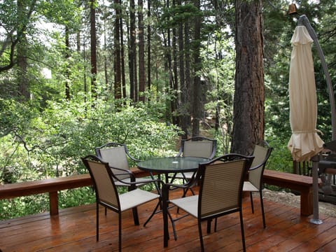 Deck above a lovely creek. Relaxing forest views. 