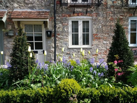 Spring flowers changes to summer blooms, planted for colour all year round.