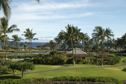 View from the living room and lanai.
