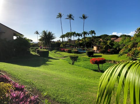 Beautiful Garden, Pool  & Ocean Views from Extra Large Lanai