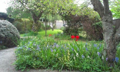 Looking out at garden from house, full of fruit trees and lawn