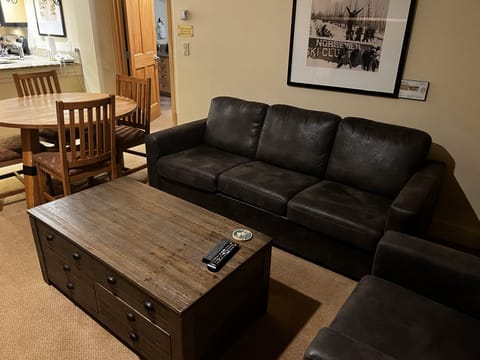 Front room w Palliser Queen Sofa Sleeper and Palliser Chair