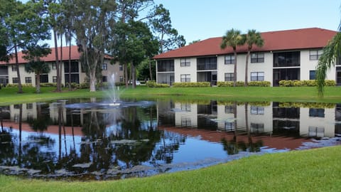 The pond outside our condo
