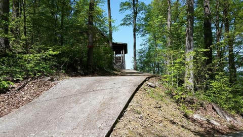 Drive way to the cabin