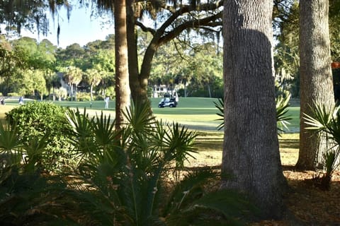 View from back porch