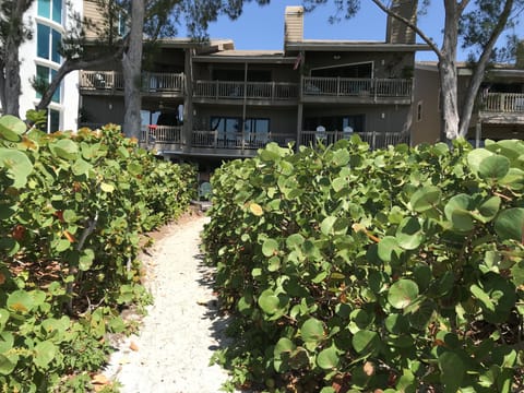 Building from beach side
