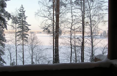 A view from Main house .